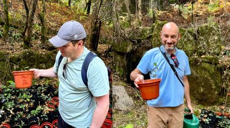 Planting Day in Fafião: Reforesting Peneda-Gerês National Park, One Native Tree at a Time